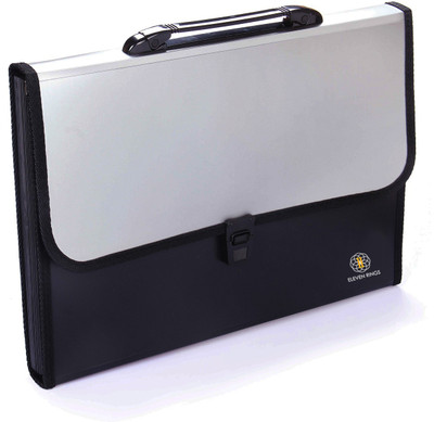 Eleven Rings Plastic Plastic File Folder with Handle and 13 Pockets, A4 Size(Set Of 1, White)