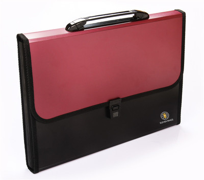 Eleven Rings Plastic Plastic File Folder with Handle and 13 Pockets, A4 Size(Set Of 1, Red)
