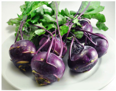 Mozette Hybrid Knol-knol purple Seed(60 per packet)