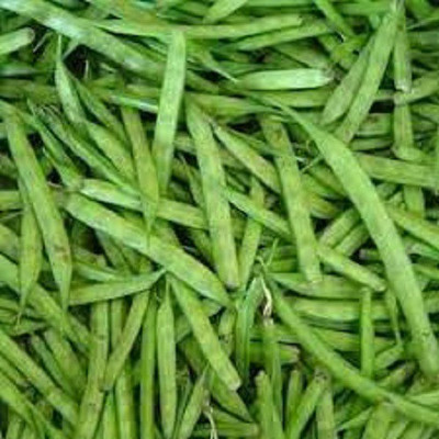 V Seed Cluster Guar Phali Bean Seed Seed(300 per packet)