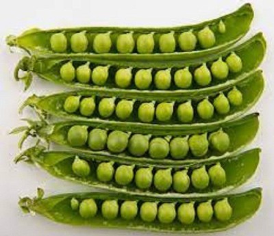 Sjeme Peas Seed Seed(500 per packet)