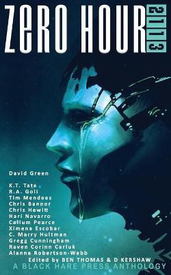Zero Hour 2113(English, Paperback, unknown)