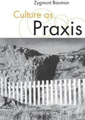 Culture as Praxis(English, Paperback, Bauman Zygmunt)