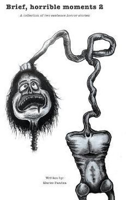 Brief, horrible moments 2(English, Hardcover, Pandza Marko)
