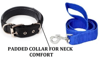 Hachiko Dog Collar & Leash(Medium, Black,Blue)