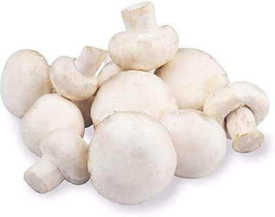 PLANTZON Mushroom Seed(21 per packet)