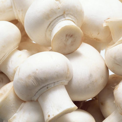 Paudha Mushroom Seed(25 per packet)
