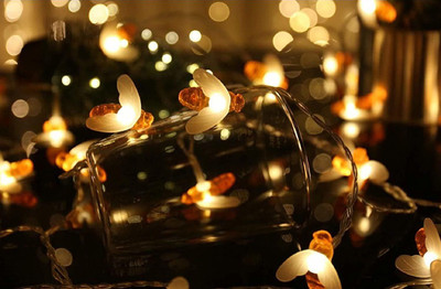 WunderVoX 16 LEDs 2.43 m Orange Steady String Rice Lights(Pack of 1)