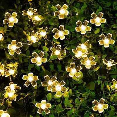 NISCO 36 LEDs 7.98 m Gold Steady Flower Rice Lights(Pack of 1)