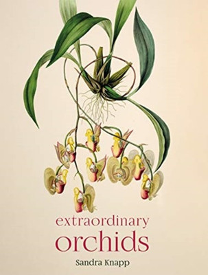 Extraordinary Orchids(English, Hardcover, Knapp Sandra)