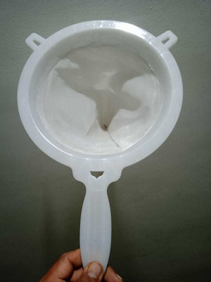 Winslow Net Milk Water Strainer Garani Plastic Filter Mesh Nylon Milkcan Tea Strainer(Pack of 1)