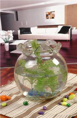SAVORADE 5.4 L Fish Bowl