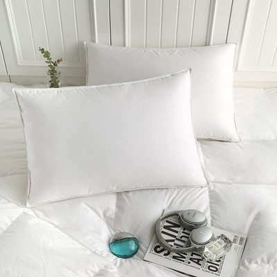 WILD MINT Microfibre Solid Sleeping Pillow Pack of 2(White)