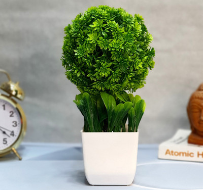 Flipkart SmartBuy Great For Home Or Office Decoration or birthday Gift, Table Top Bonsai Artificial Plant Bonsai Wild Artificial Plant with Pot(25 cm, Green)
