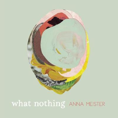 What Nothing(English, Paperback, Meister Anna)