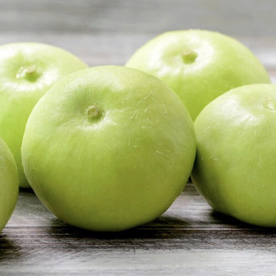 LYRS Imported Apple Gourd / Tinda Seed Seed(10 per packet)