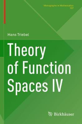Theory of Function Spaces IV(English, Paperback, Triebel Hans)