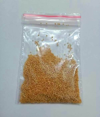 ROSEMERC AMARANTHUS Seed(500 per packet)