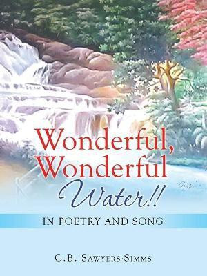 Wonderful, Wonderful Water!!(English, Paperback, Sawyers-Simms C B)