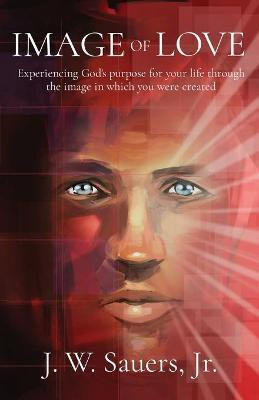 Image of Love(English, Paperback, Sauers Jeffrey W)
