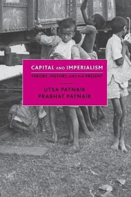 Capital and Imperialism(English, Paperback, Patnaik Utsa)