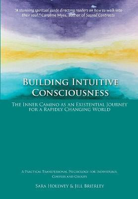Building Intuitive Consciousness(English, Paperback, Brierley Jill)