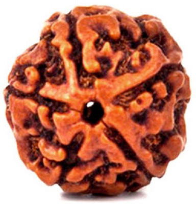 Ratehalf Original Panch Mukhi 5 face (five Faced) Natural Rudraksha Bead Beads Wood