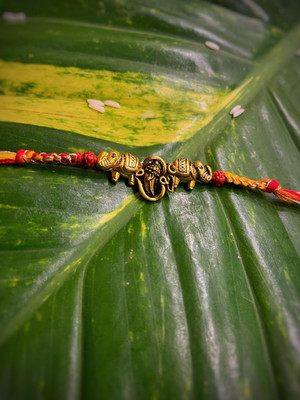 Digital Dress Room Thread 13RAK-212-1 Mauli Thread Rakhi  Set(1 Rakhi)
