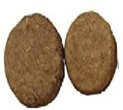 Earth Angels Camphor Cow Dung Cake (pack of 02)