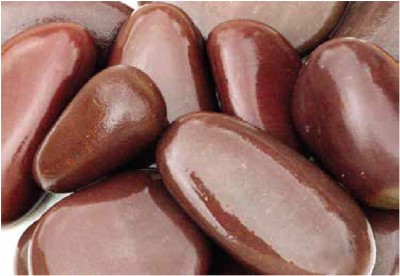 Naturally Green himalayan pebbles 2 kg Regular Asymmetrical Rock Pebbles(Brown 2 kg)