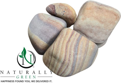 Naturally Green Desert Rainbow pebbles 10 kg Regular Asymmetrical Rock Pebbles(Beige 10 kg)
