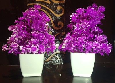 ds Artificial Flower Pot for Tableware Home Decor Living Room Shop Office Bed Room Washroom & Gift Wild Artificial Plant with Pot for Home Decoration Artificial Plant  with Pot(18 cm, Purple)