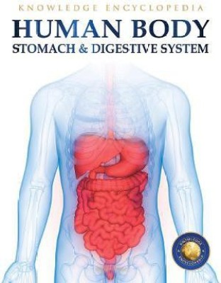 Human Body - Stomach And Digestive System: Knowledge Encyclopedia For Children  - By Miss & Chief(English, Paperback, Wonder House Books)