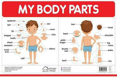 My Body Parts(English, Paperback, unknown)