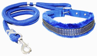 Petshop7 Dog Collar & Leash(Medium, Blue)