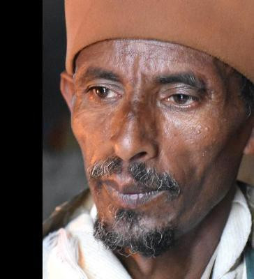 Portraits(English, Hardcover, Lutz Tom)