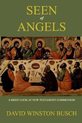 Seen of Angels(English, Paperback, Busch David Winston)