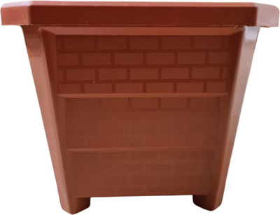 Naturally Green square pot terracotta 8 inch pack of 5 Plant Container Set(Pack of 5, Plastic)