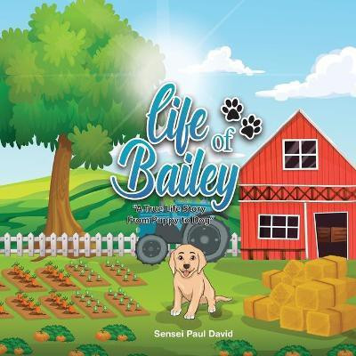 Life of Bailey(English, Paperback, David Sensei Paul)