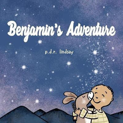 Benjamin's Adventure(English, Paperback, Lindsay P D R)