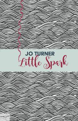 Little Spark(English, Paperback, Turner Jo)