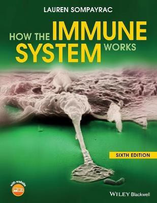 How the Immune System Works, Sixth Edition(English, Paperback, Sompayrac L)