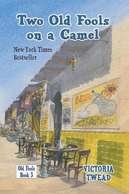 Two Old Fools on a Camel(English, Hardcover, Twead Victoria)