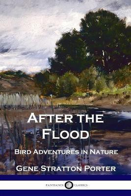After the Flood(English, Paperback, Porter Gene Stratton)