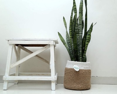 home decorz store Modern crocheted jute Planter cum Storage Basket, Beautiful storage basket, Height 30cm(12 inch), Width 30cm(12 inch)(Single piece) Plant Container Set(Fabric)