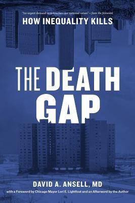 The Death Gap(English, Paperback, Ansell, MD David A.)