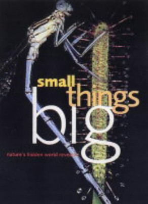Small Things Big(English, Hardcover, Davies Paul Harcourt)