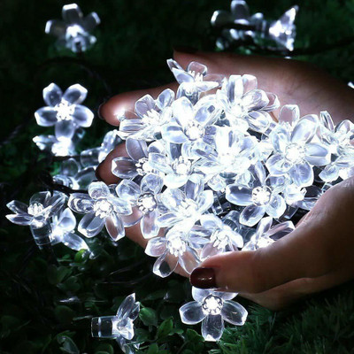 Ein Sof 20 LEDs 8 m White Steady Flower Rice Lights(Pack of 1)