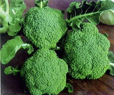 VibeX KGF -3 - Green Hybrid Broccoli - (150 Seeds) Seed(150 per packet)