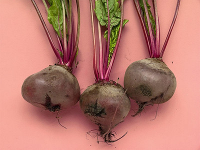 LYRS Red Beetroot Chukandar Seed Seed(10 per packet)